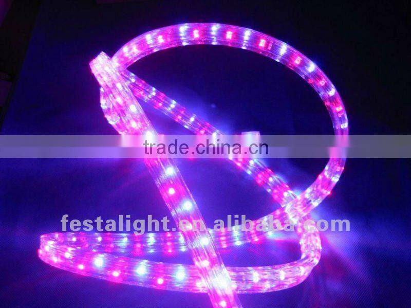waterproof Flat 3 wires Holiday decoration led rope light wholesale