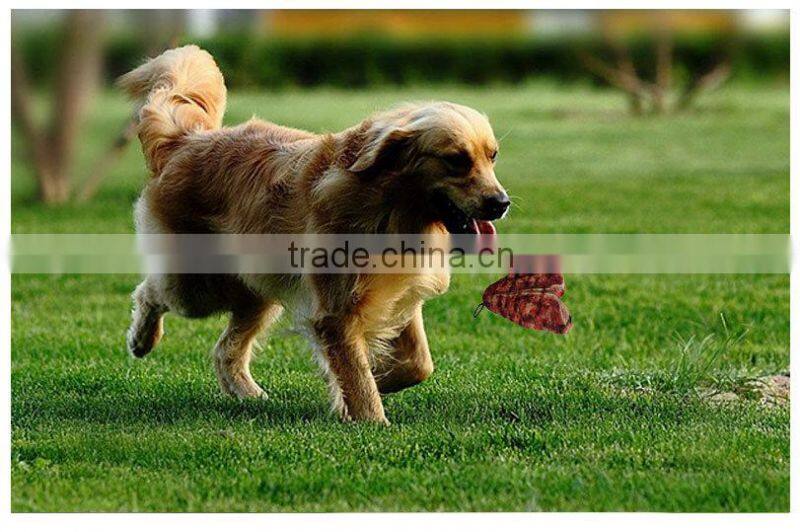 pet's toy, interactive toss and tug toy, pet's squeaker toy