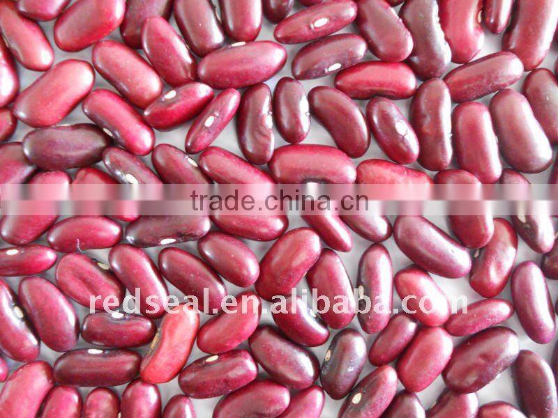 2011 new dark red kidney beans