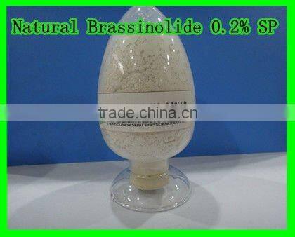 Glyphosate harms reliever - Natural brassinolide