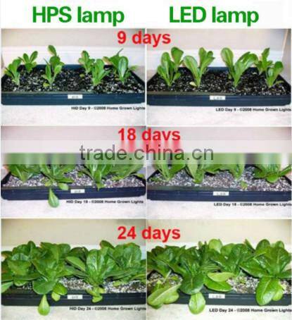200w Full Spectrum 6 led light Panel Hydroponic LED Grow Lights