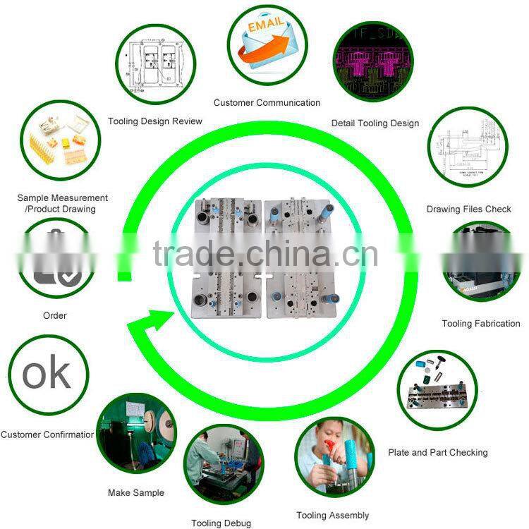 High precision press forming mould,forming/puching/punch/stamping die/mold/mould