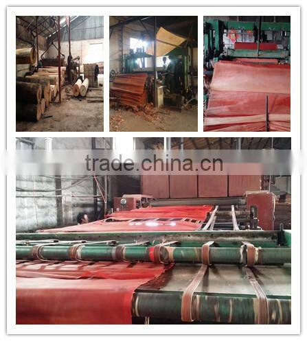Rengas Veneer