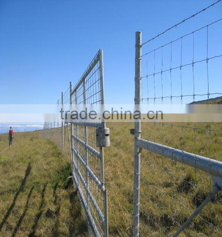 Galvanized fixed knot field fence for goat farm
