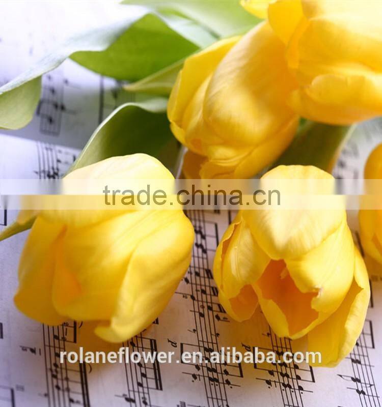 Holland fresh yellow tulip cut flower from kunming yunnan