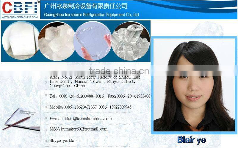 Salt water industrial ice plate machine price in Africa