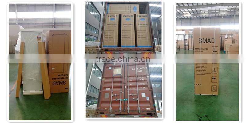 Portable plastic 2 tubs top loading washing machine