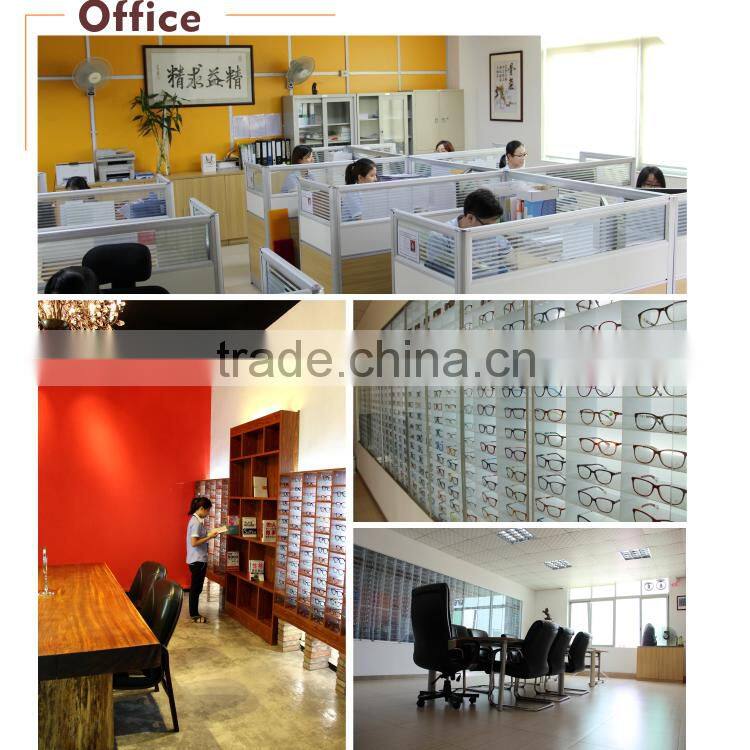 Stainless Steel Acetate Optical Eyewear Frame