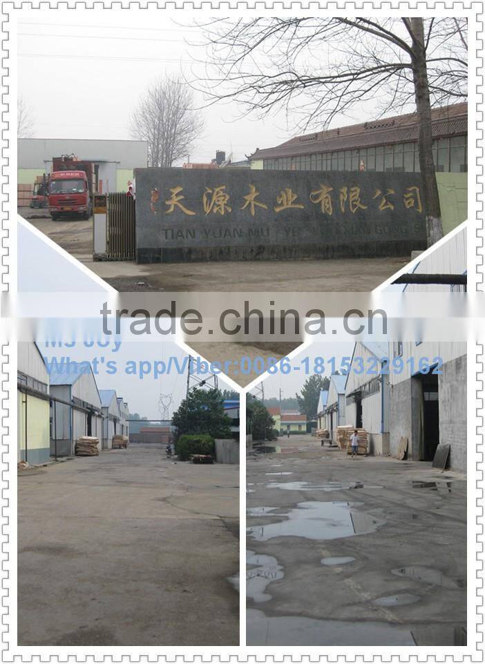 Raw and Melamine Blockboard for Furniture and Door Panel (Blockboard)