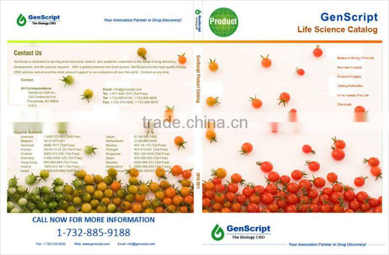 high quality catalog printing