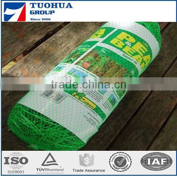 Green Vegetable Climbing Netting Supplier