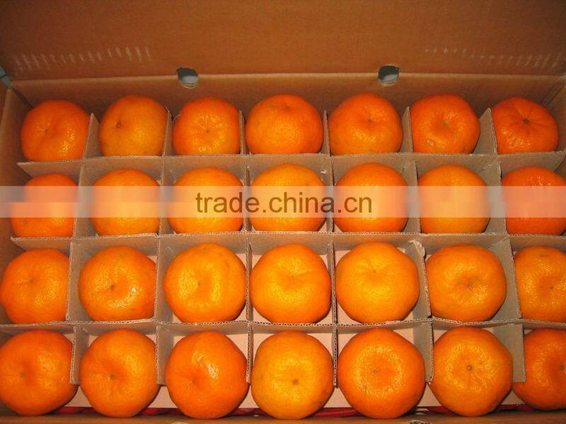 Fresh Mandarin Orange with Factory Wholesales Price