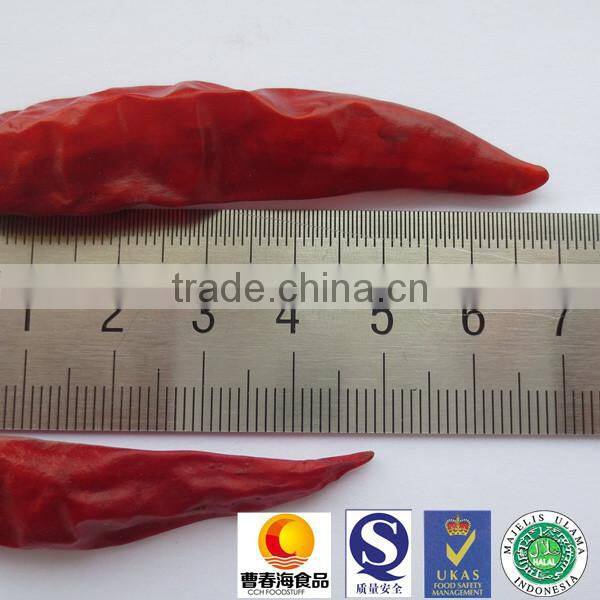 Exported dried red chilli king tianyu chilli