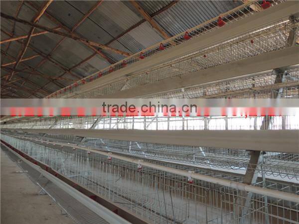 TAIYU Chicken Cages for Kenya Hen Farm (Local agent, whole year stock, visit customers every year)