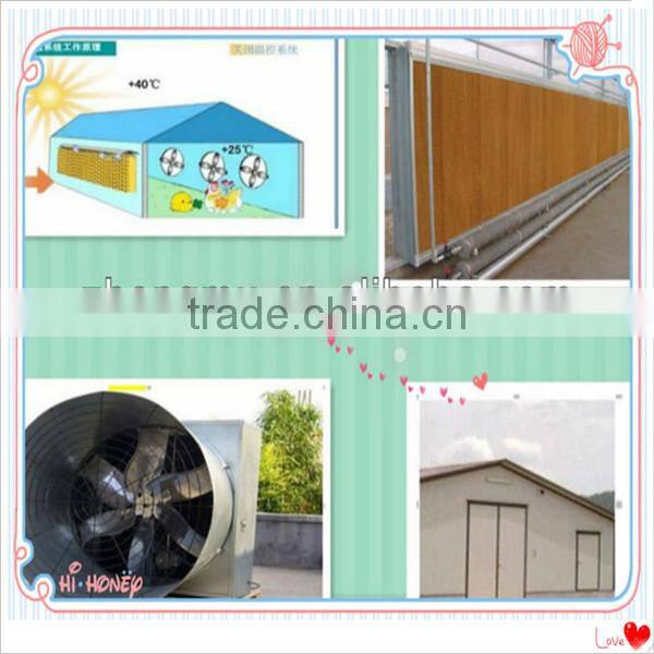 Hot galvanized metal chicken poultry shed farm equipment for chicken cage