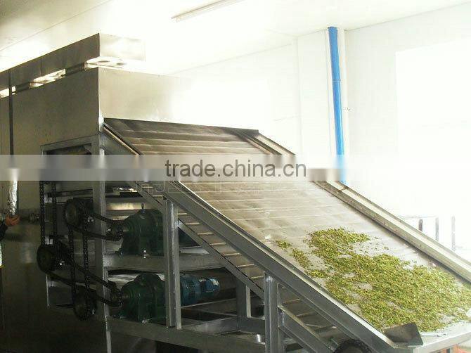 Nanyang manufacturer directly supplying latest and hot cleaning air continuous medlar mesh belt dryer