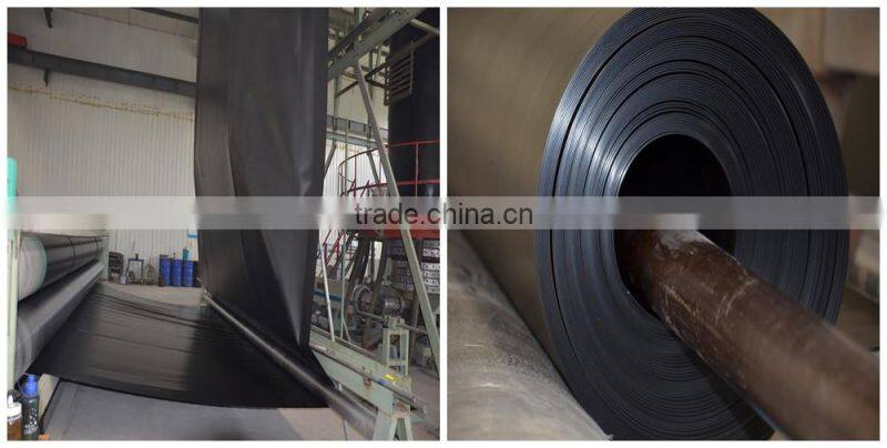 Arowana Fish Farm Pond Liner HDPE Geomembrane Black Rolls