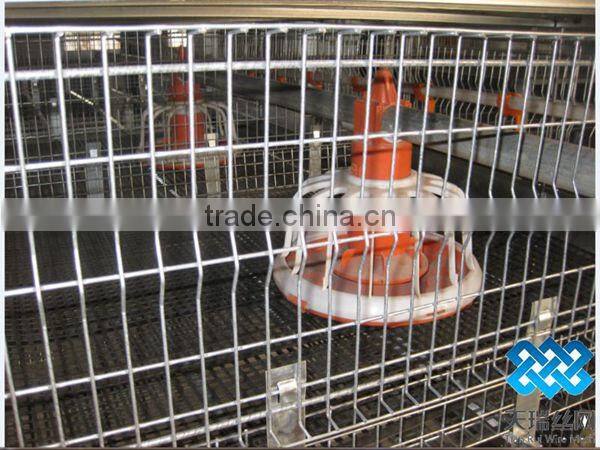 hot sales A type chicken cage for chicken farm