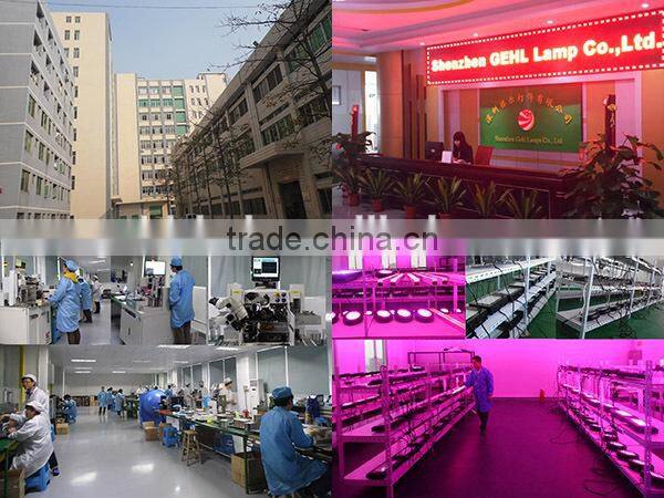 Shenzhen 2016 100w/200w IP65 hydrop grow led greenhouse lights