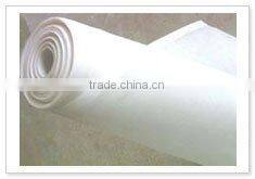 Low Price Nylon Netting(15 years factory)