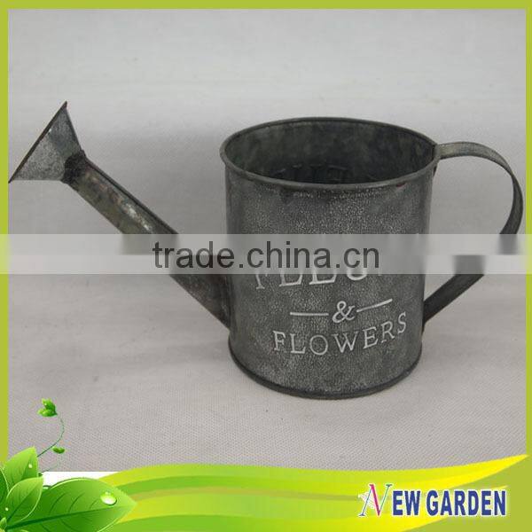 Decorative flower pot / watering can for plant / Different Shapes pot