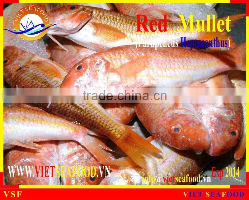 WHOLE ROUND FROZEN RED MULLET