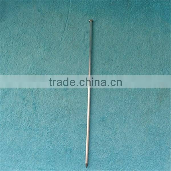 Galvanized spike