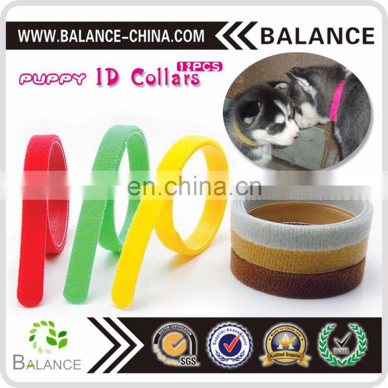 Hook & Loop Puppy Kitten ID collar with 12 colors