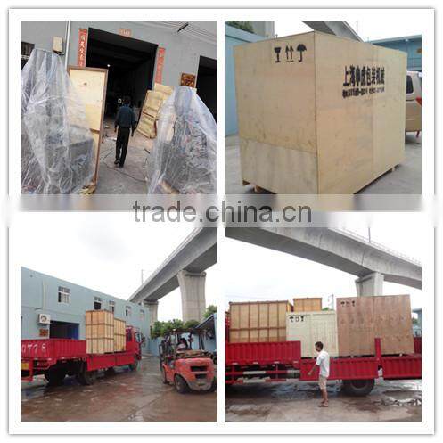 Shanghai Bottle Powder Filling Machine/Powder Filling Machine/Bottle Filling Machine