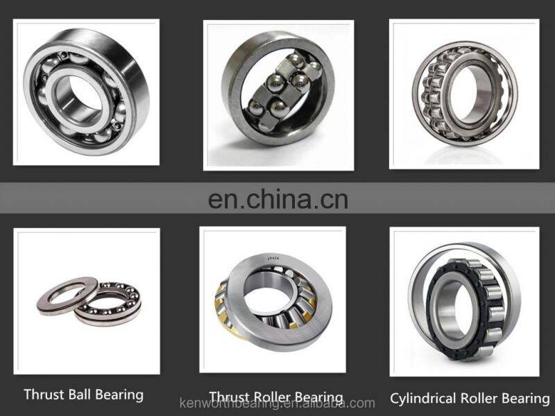 Track Roller Bearing LFR5204-16NPP R5204-16 2RS Balero