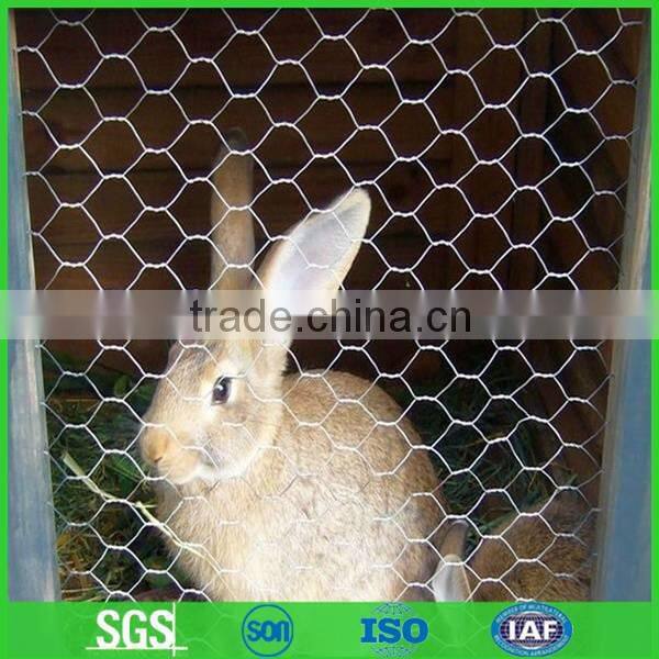 Poultry fence, Chicken wire, Stainless Steel Wire Netting
