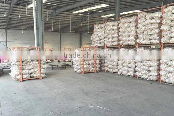 China garlic pric