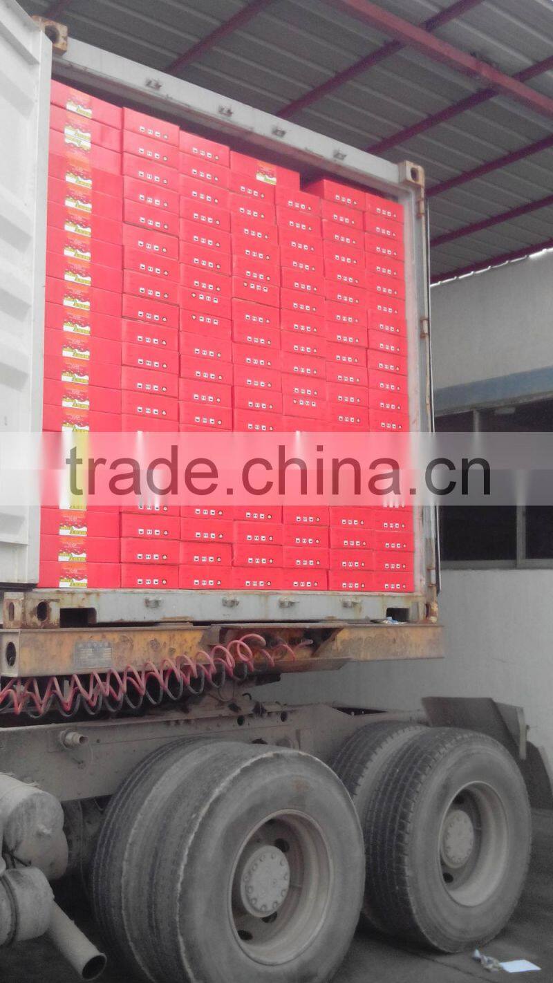 Solid Form and Sauce Product Type Canned Tomato paste 400g