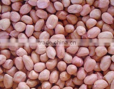 Raw Shelled Peanut