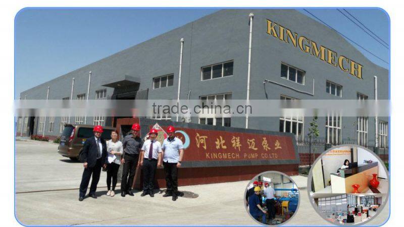 API610 centrifugal stainless steel chemical pump
