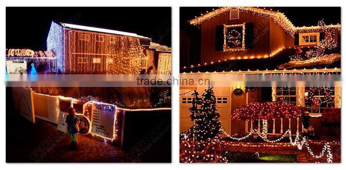 Special Decoration Amer 12V LED Rope Light