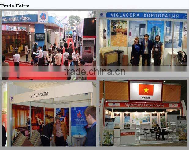 Viglacera Basin Faucet