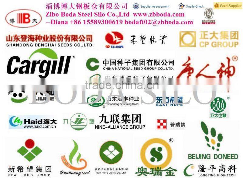 Roof grain scraper / chain conveyor on steel silo with catwalk for supporting