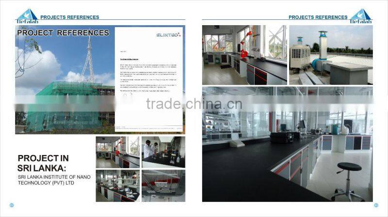 2015 HOT Sale Chemical Laboratory Safety Storage Cabinet