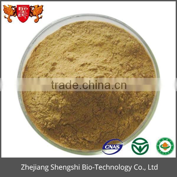 ISO GMP Factory 100% Pure natural mulberry leaf extract