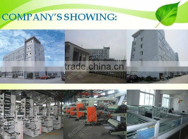 QTL Type high speed 2 colors Non Woven Fabric Bag Flexo Printing Machine (Roll to Roll)