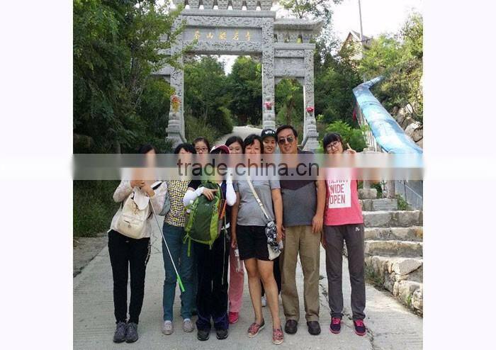 portable hand-held pneumatic air shovel C4