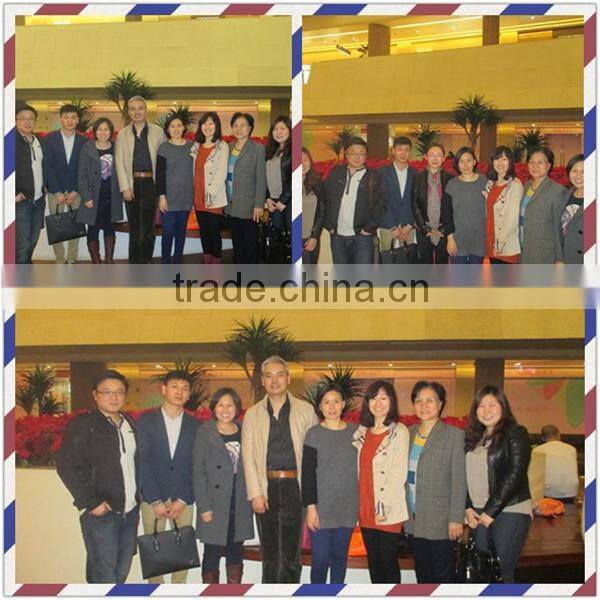 TTN Freeze Dried Mangoes Extract Instant Mango Fruit Juice Powder