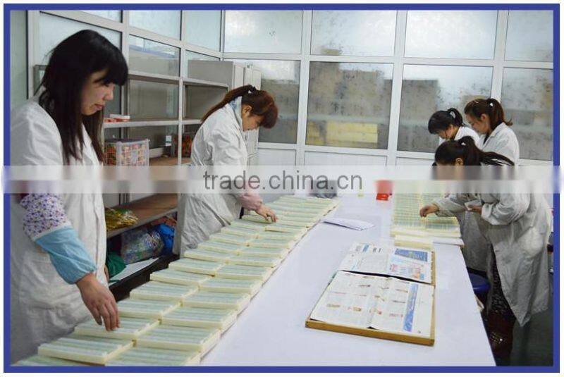 Glass microscope slides