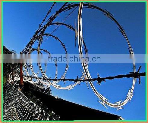 Razor Wire mesh (Factory)