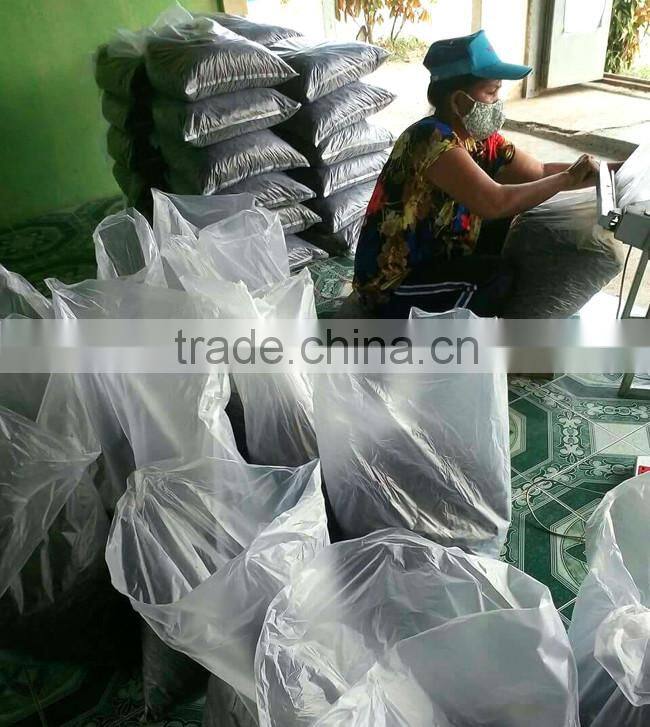Dried Thai herbal medicine Plai herbal product (Essential oil)
