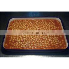 Chinese canned white kidney beans in tomato sauce