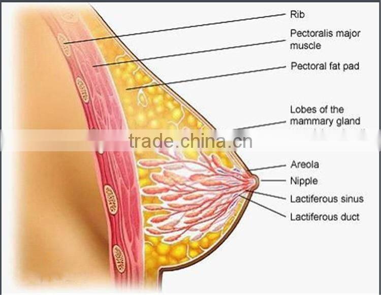 White Kwao Krua big breast tight cream