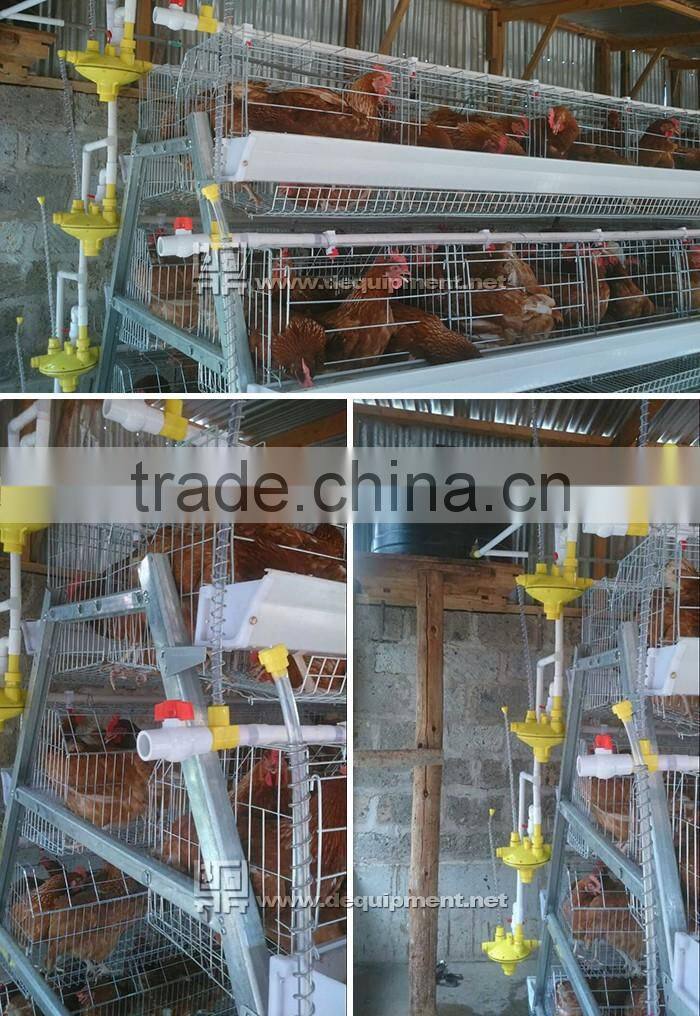 TA NO.1 top selling taiyu company chicken cage advantage in kenya