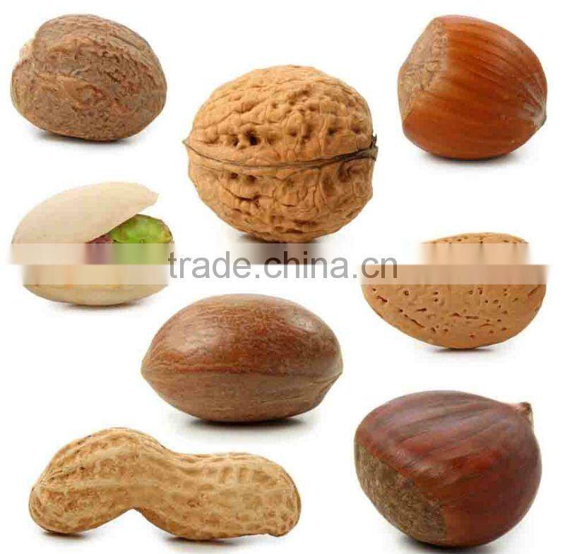 high effiency factory electric roasting machine